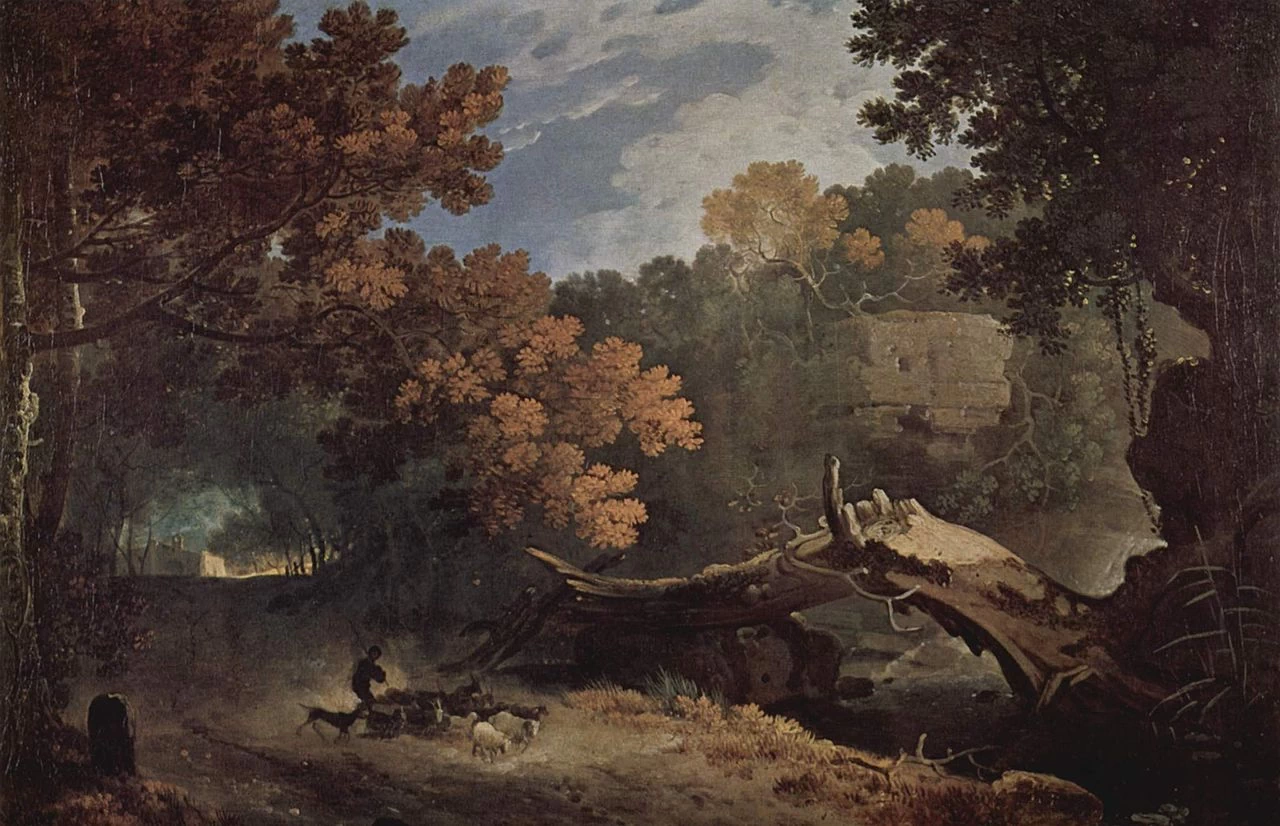 Ariccia, albero caduto